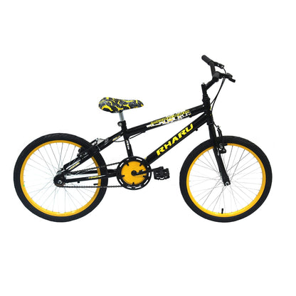 Bicicleta Aro 20