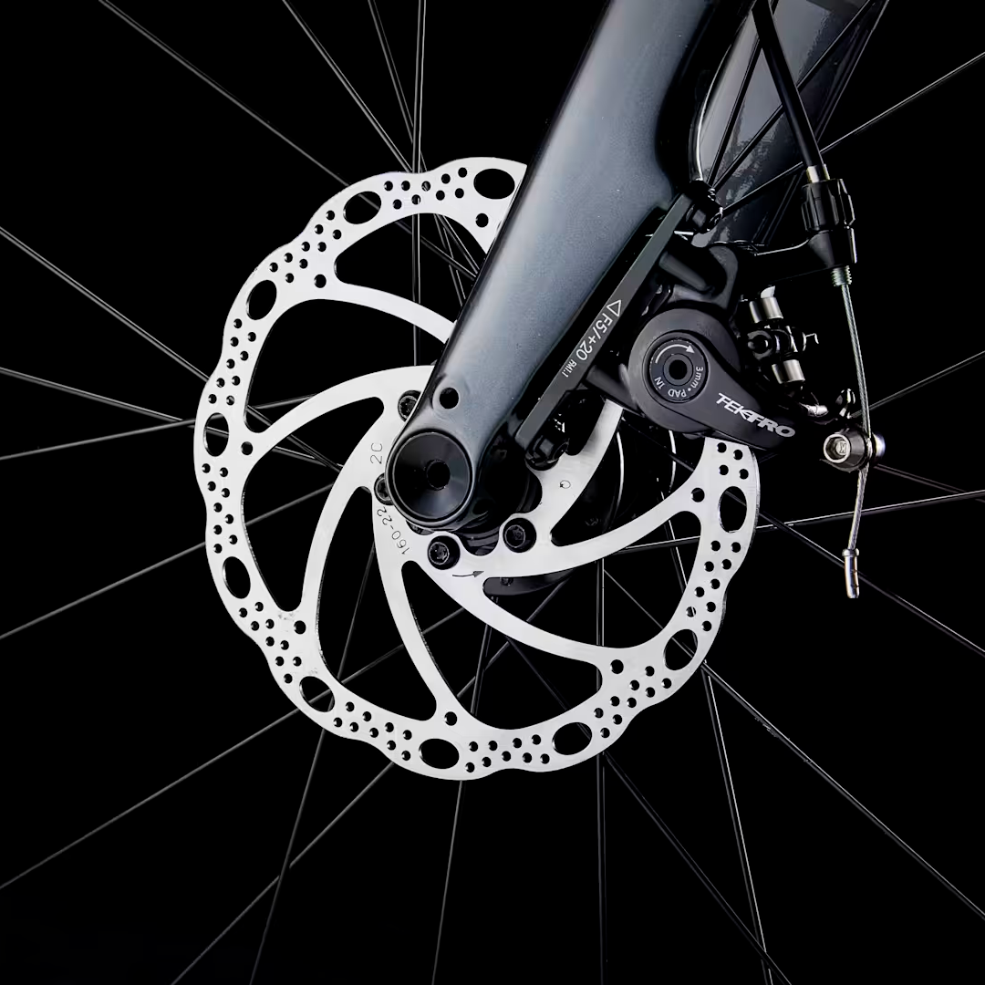 Bicicleta Road Trek Domane AL 2 4ª geração