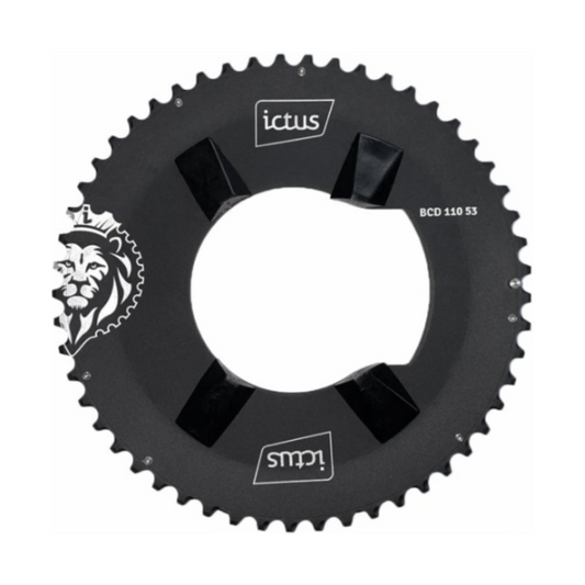 Coroa Ictus Indexada Aero BCD 110 – 53 Dentes (Shimano 105 R7100)