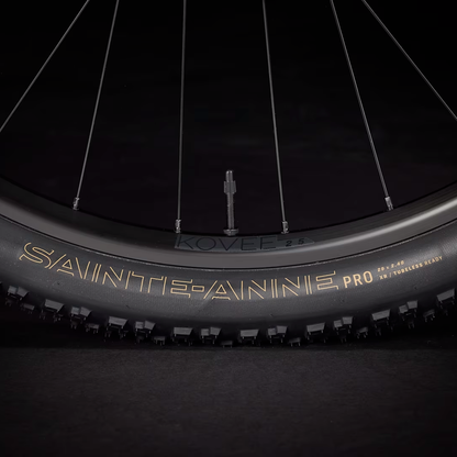 Bicicleta Mountain Bike Trek Procaliber 6